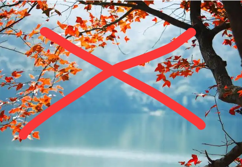 手机拍摄的实景图片为何不能转矢量图